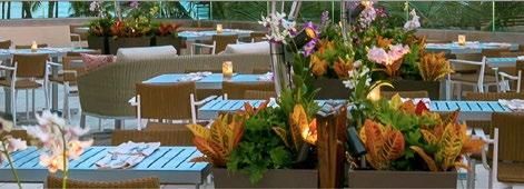 city center, the Hyatt Regency Waikiki Beach hotel and resort offer a vibrant