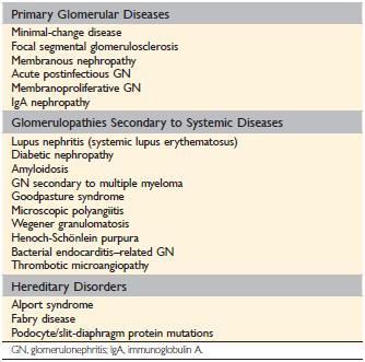 Glomerular diseases Most 1ry & many 2ry glomerular diseases are immune-mediated -circulating Ag-Ab complexes that deposit in the glomerulus or -in situ deposition of antibodies or Fixed antigens