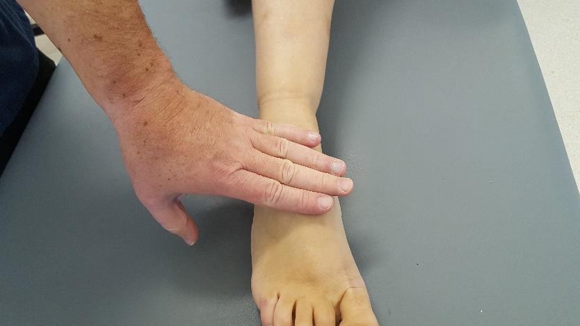 overcome by pressing down on foot. Stop me from pushing down Plantar flexion: Ask patient to push foot down.