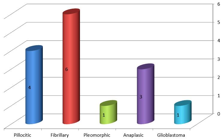 Seban et al fibrolipoma summing 3 cases (4.83%) - on the fifth place are cavernomas, meduloblastomas, gangliogliomas, schwanomas by 2 cases = 3.22% each, summimg 8 cases = 12.