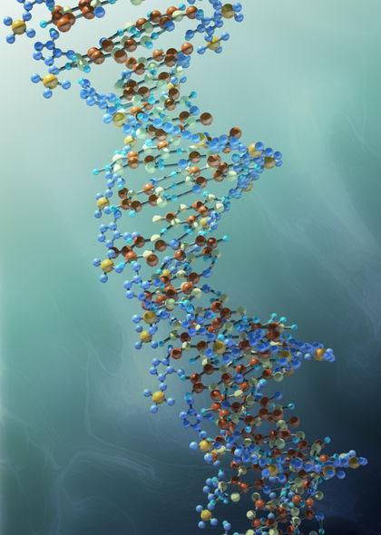 Long, thin, fibrous molecule DNA part of chromosomes Molecular weight upto 10 9 DNA and RNA polymers of neclotides Monomer of DNA