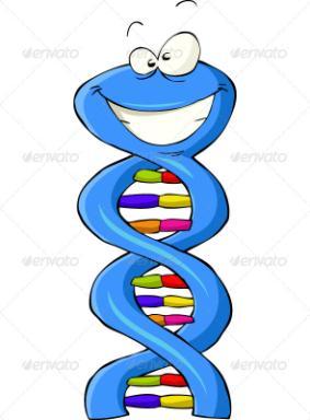 DNA (Replication)