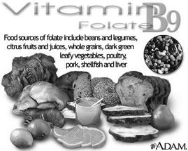 dairy) Vitamin B 12 Important for cell division Food sources