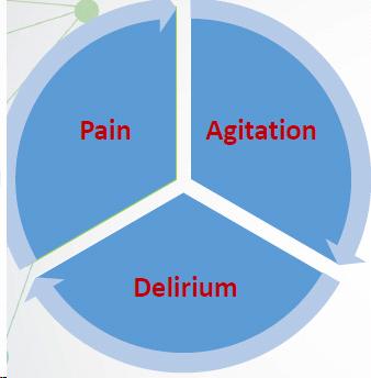 All ICU patients should be routinely assessed for: Pain (Likert self-report, or BPS/CPOT non-self-report) Agitation/depth of sedation (RASS/SAS) Delirium (CAM-ICU/ICDSC) Important factors