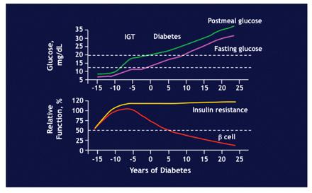 Natural History of Type 2 Diabetes Adapted