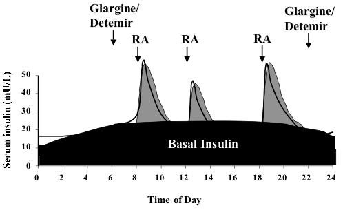 Daily Insulin Requirements (Hypothetical 100 kg pt) 1 unit/kg