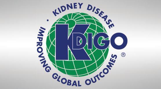 KDIGO CKD Guidelines 2012 Section 1: Definition and classification of