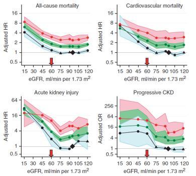 5 million subjects Collaborative meta-analysis Major publications: Lancet, KI, JAMA Matsushita et al, Lancet 2010 Predictive ability of albuminuria at all categories of GFR: