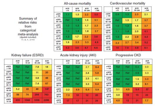 Adjusted relative risk of renal and cardiovascular outcomes for GP cohorts with ACR Levey et al, Kidney Int 2011 KDIGO CKD Guidelines