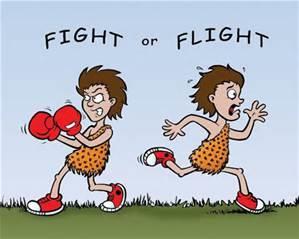 Fight or Flight Response Evolutionary