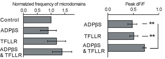 Supplementary Fig. 3: The effect of GPCR ag