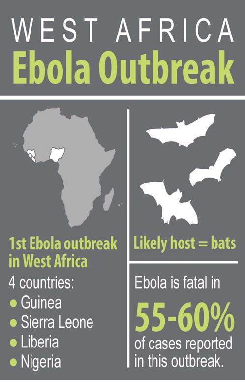 Reset to 2014 On March 23, 2014 the World Health Organization (WHO) was notified of a rapidly evolving outbreak of an Ebola virus in Guinea.