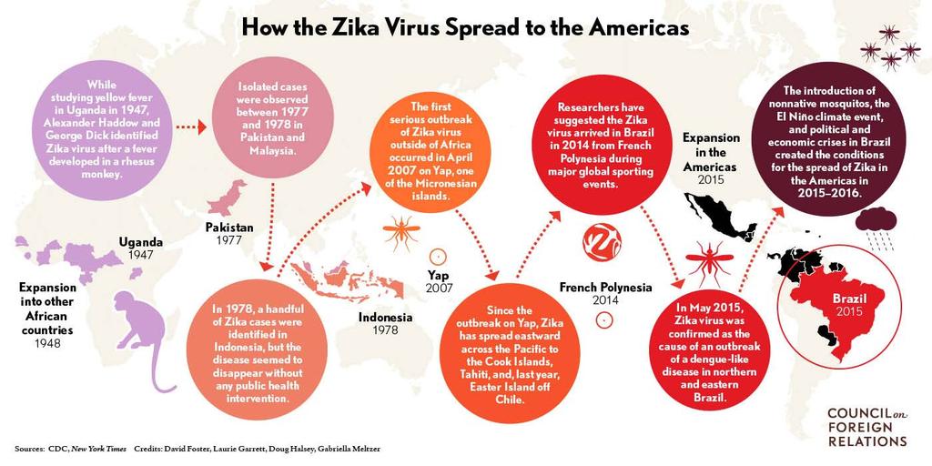 2 of 5 15.02.2016 10:58 While in most cases symptoms of Zika infection are mild, researchers fear the virus may be responsible for a dramatic rise in birth defects.
