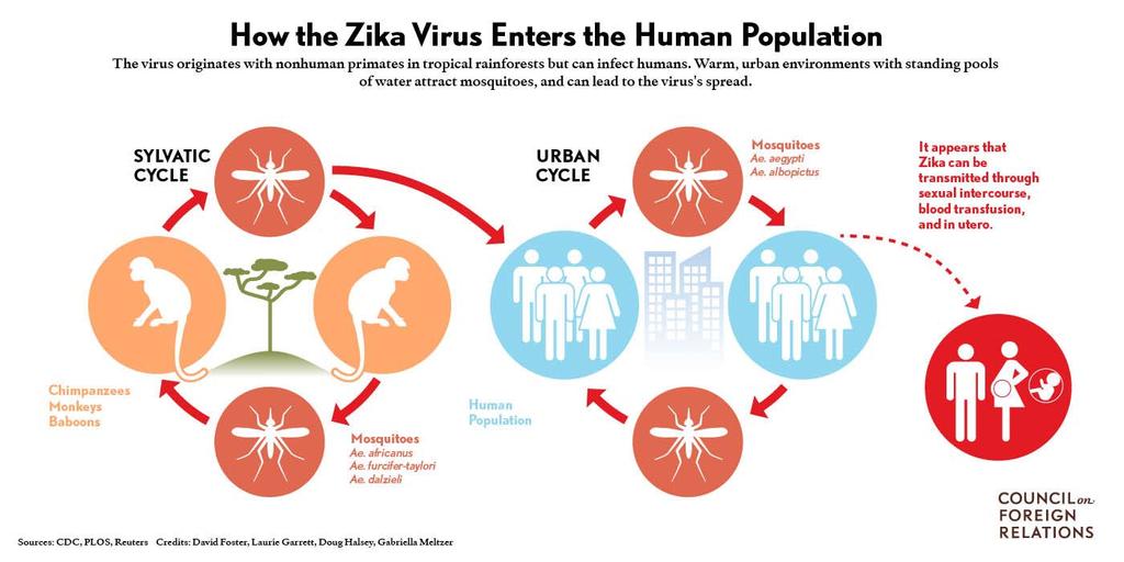 3 of 5 15.02.2016 10:58 The Zika outbreak comes as other mosquito-borne illnesses are on the rise: Brazil reported 1.6 million cases of dengue fever in 2015, up from 569,000 the year before.