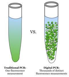 ddpcr Principle: Limiting Dilution PCR VS.