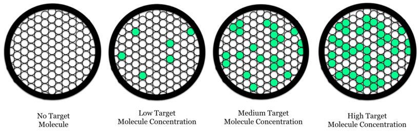 PCR: Thousands of distinct fluorescence measurements