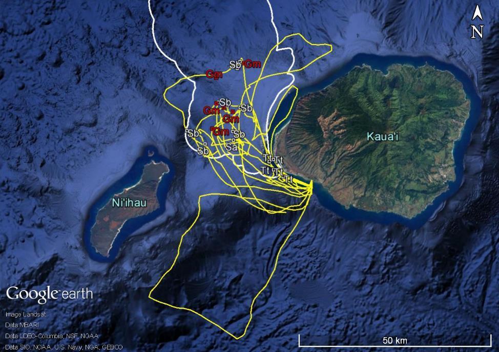 8. Figures Figure 1. February 2016 tracklines of small-vessel field effort (yellow) and sighting locations (symbols with species abbreviations as labels).