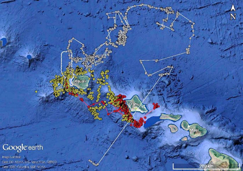 Figure 4. Top. Locations from short-finned pilot whales tagged off Kaua i and Ni ihau in September 2015 and February 2016.
