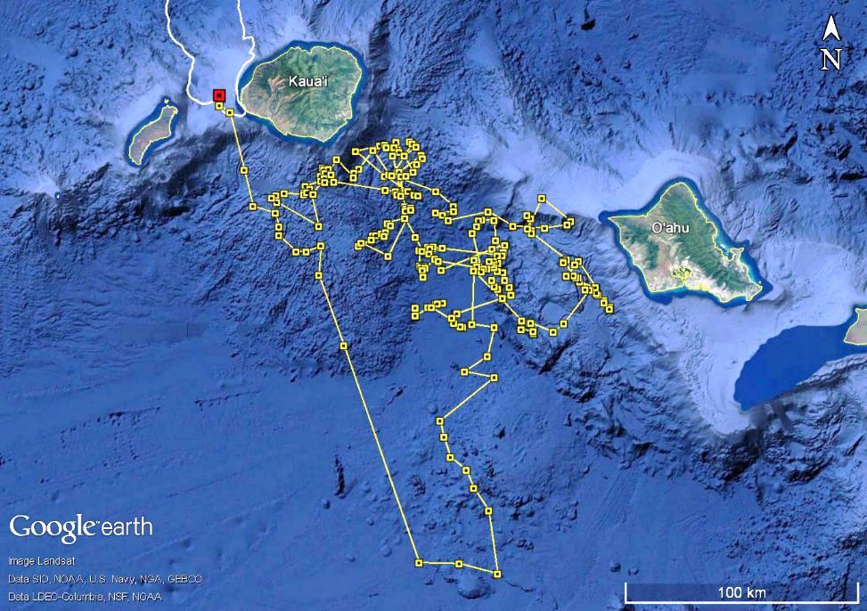 Figure 12. Locations of a pantropical spotted dolphin tagged in February 2016, with consecutive locations joined by a line.