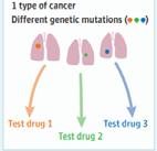 Therapies Novel Precision Medicine Trials Umbrella Trial Possible to test and develop many potentially active drugs simultaneously Basket Trial Identify small subgroups of a broad cancer population