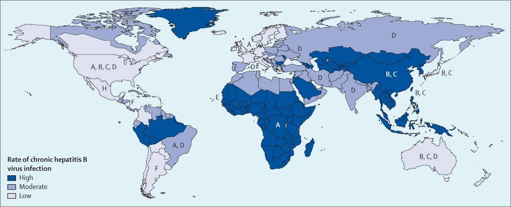 HBV Burden of Disease Globally, 257 million HBV infected persons Regional variation in prevalence and genotype