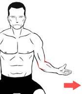 Standing or sitting, tuck your bent elbow into your side, turn the arm away from the body unassisted.