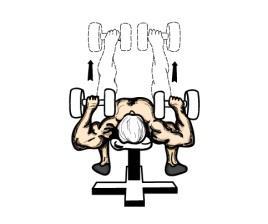Calf Raises Lunges Deltoid Raises The heaviest amount you can lift in one rep is called one repetition maximum (1RM).