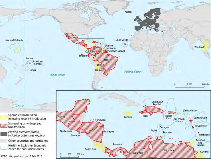 Current outbreak Reported confirmed autochthonous cases of Zika virus infection In the