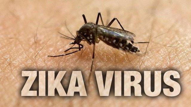 Introduction Zika virus is an emerging mosquito-borne virus that was first identified in Zika Forest in Uganda in 1947 in rhesus monkeys through a monitoring network of sylvatic yellow fever.