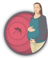 US Zika Pregnancy Registry Purpose of registry: To monitor pregnancy and infant outcomes following Zika virus infection during pregnancy and to inform clinical guidance and public health