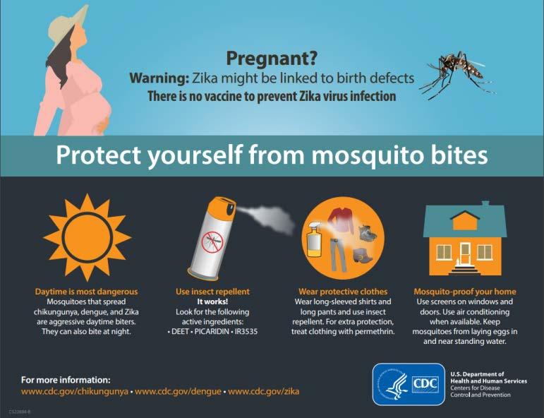 What You Can Do Connect with, and support, your state s Zika prevention