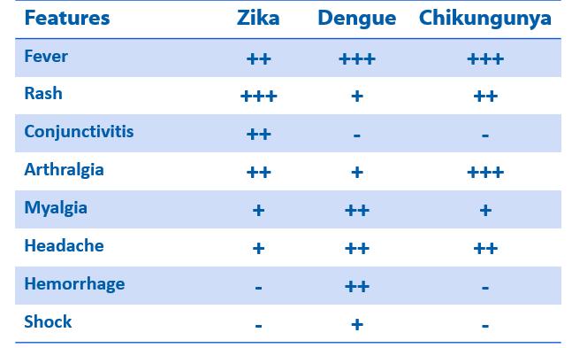 Clinical features: Zika virus compared to dengue and chikungunya Rabe, Ingrid MBChB, MMed Zika Virus- What Clinicians Need to Know?