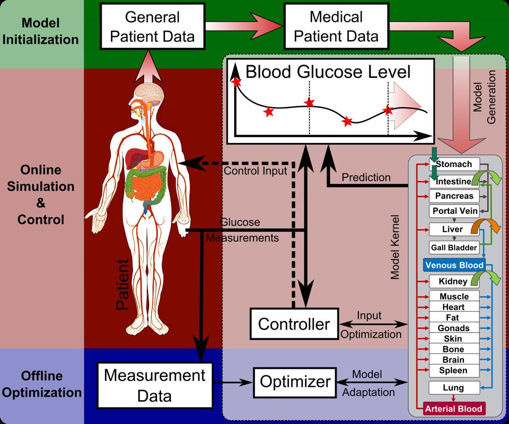 Model Applications: T1DM - Automatic Blood Glucose Control Initialization with patient data (physiologi
