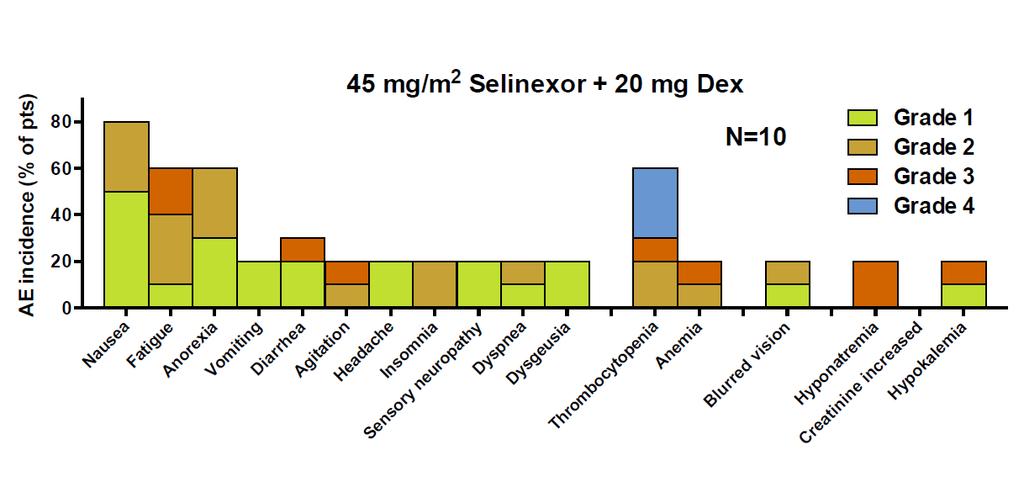 Selinexor and Dexamethasone Persistent