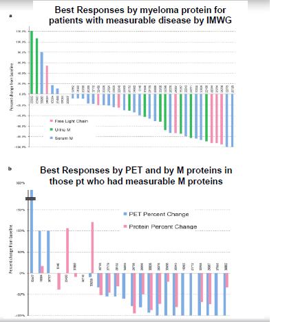 MEK inhibition in Multiple Myeloma: early clinical data Retrospective evaluation 58 refractory MM with RAS / BRAF mutations Median of 5 prior lines 22 pts received
