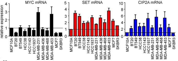 samples  protein levels occur in