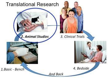 Translational research: from bench to bedside Cancer is loss of