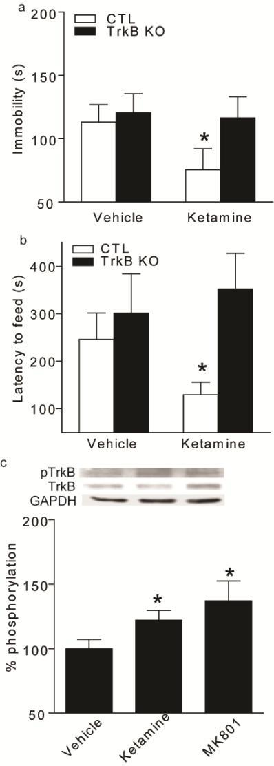 Supplementary figure 5. TrkB conditional knockout mice do not respond to antidepressant behavioural effects of ketamine.
