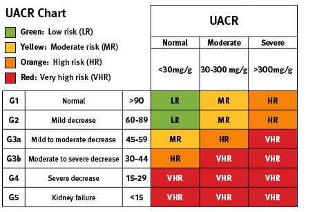 egfr and/or UACR that fall into the red zone. AKI or abrupt sustained drop in egfr. Rapid progression as defined as a sustained declined in egfr of more than 5 ml/min/1.73m2/yr.
