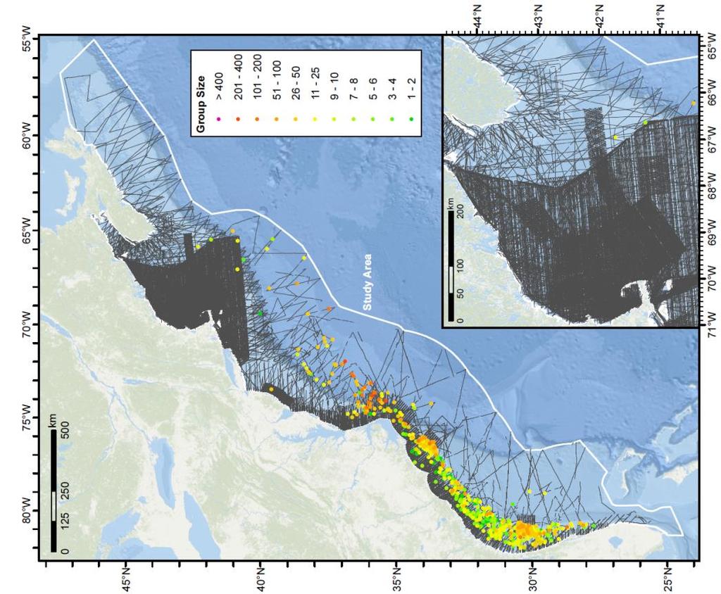 Figure 4 Atlantic spotted dolphin sightings recorded during surveys from 1992 2014 (Roberts et al. 2015b). The study area encompasses the US and Canadian 200 nm EEZ territory.
