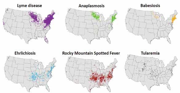 EICKHOFF AND BLAYLOCK Each dot represents a reported case in the county of residence FIGURE 1. Geographic distribution of nationally notifiable tickborne diseases, 2015. Eisen R.