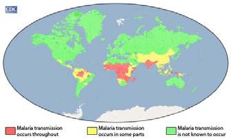 MALARIA DISTRIBUTION MAP Rückert, C. et al. Impact of simultaneous exposure to arboviruses on infection and transmission by Aedes aegyptimosquitoes. Nat. Commun. 8, 15412 doi: 1.