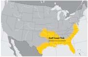 incidence rates by county, 213-217 (per 1, population) GULF COAST TICK HAS IT ARRIVED IN NJ?