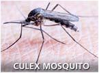 MOSQUITO-BORNE DISEASE IN NJ RESIDENTS Travel-related Malaria (125) Zika (37) Dengue (25)