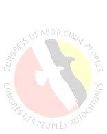 A position paper for the 5 th National Indigenous Women s Summit March 6 8, 2017, Toronto, Ontario Prepared by the Congress of Aboriginal Peoples The Congress of Aboriginal Peoples (CAP) is one of