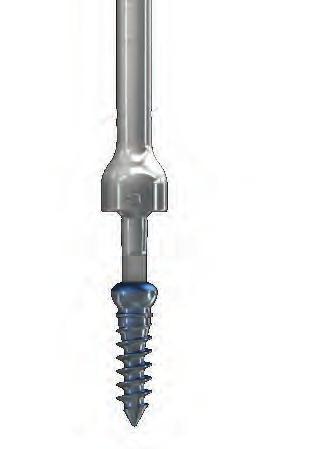 Screw Insertion Screw insertion is initiated with the