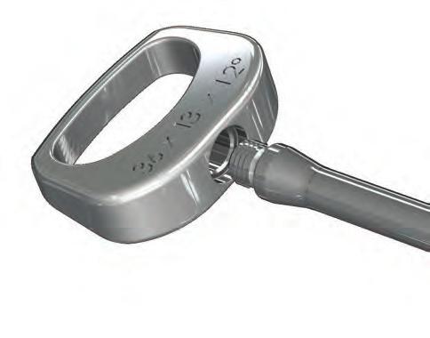 apophyseal ring.