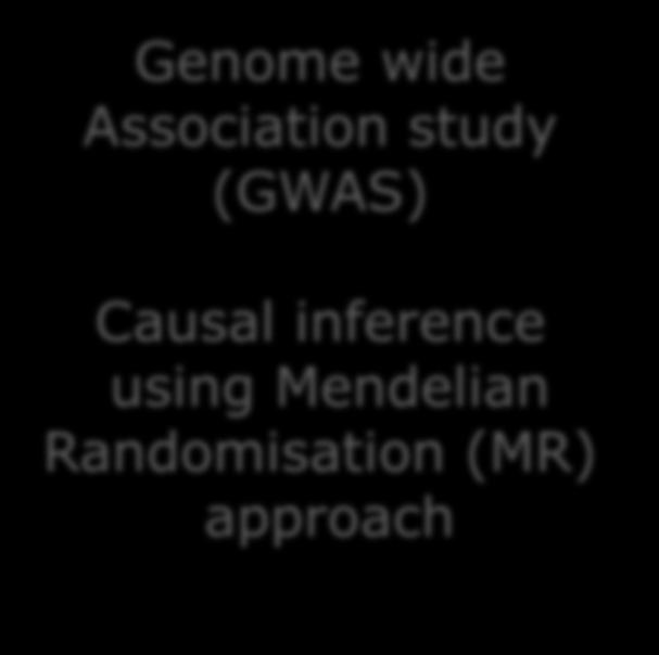 Work in progress Genome wide Association study (GWAS)