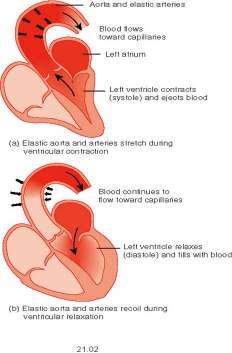 Elastic Arteries