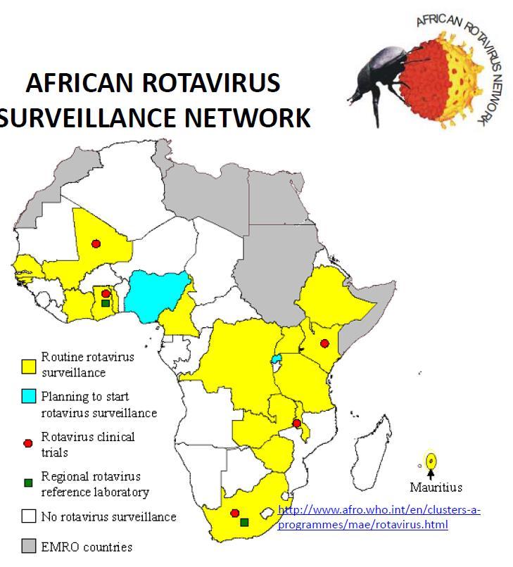 Sentinel surveillance for rotavirus Key objectives 1. Contribute data to estimate the burden of disease due to rotavirus AGE in children < 5 2.
